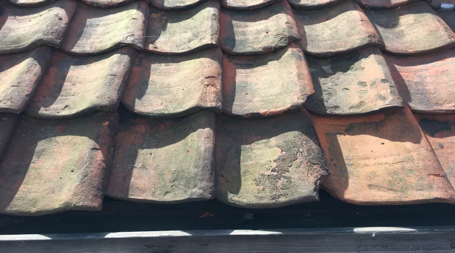 what-are-the-most-common-types-of-roof-repairs