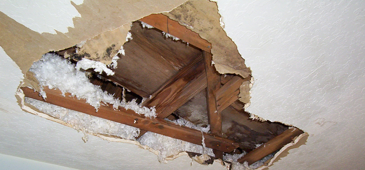 Water Damage Restoration Cost in Ponce, PR