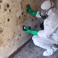 Mold Remediation Contractor in Cheyenne, WY
