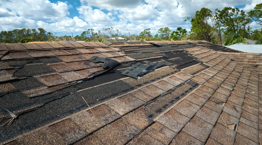 can-you-fix-a-roof-by-yourself