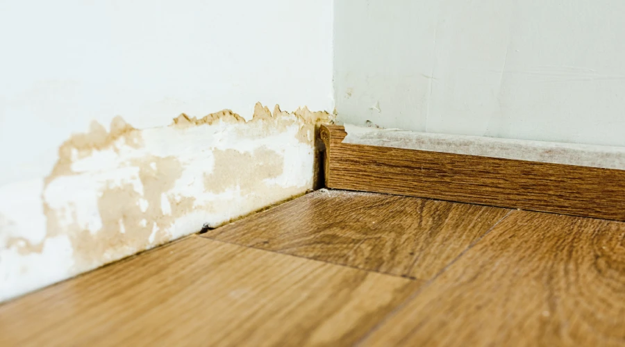 Signs of Water Damage And What to Do