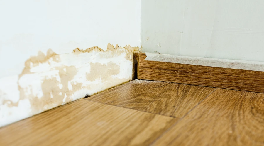 signs-of-water-damage-in-your-home