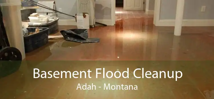 Basement Flood Cleanup Adah - Montana