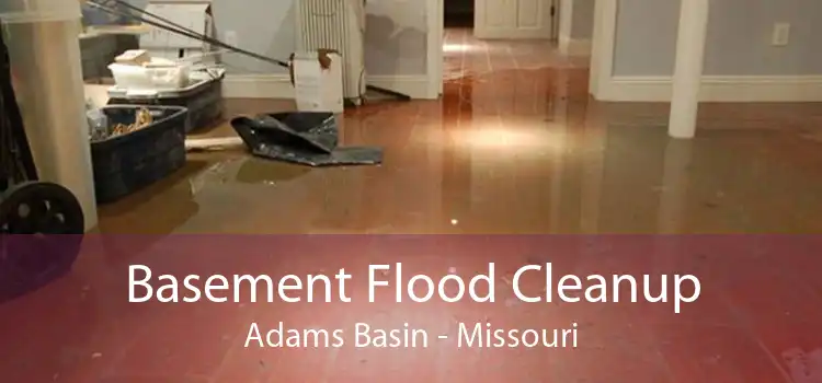 Basement Flood Cleanup Adams Basin - Missouri