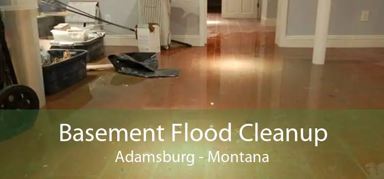 Basement Flood Cleanup Adamsburg - Montana