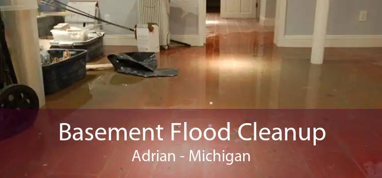 Basement Flood Cleanup Adrian - Michigan
