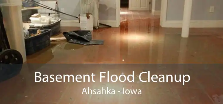 Basement Flood Cleanup Ahsahka - Iowa