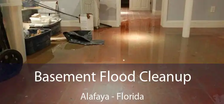 Basement Flood Cleanup Alafaya - Florida