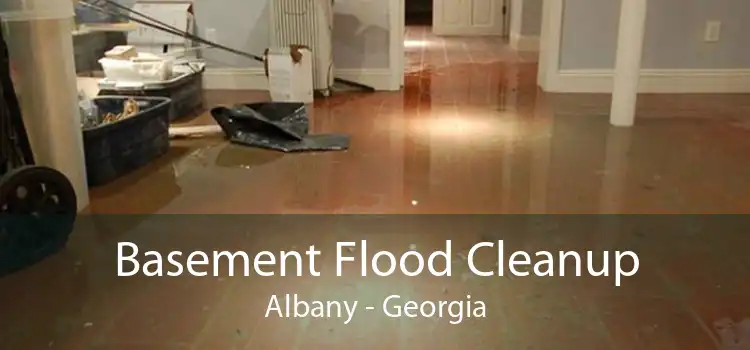 Basement Flood Cleanup Albany - Georgia