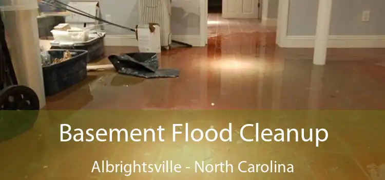 Basement Flood Cleanup Albrightsville - North Carolina