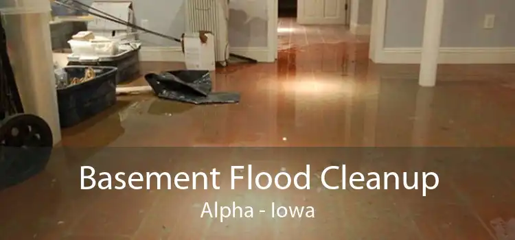 Basement Flood Cleanup Alpha - Iowa