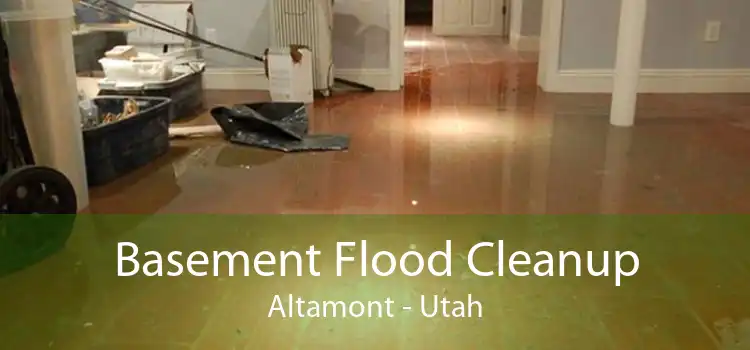 Basement Flood Cleanup Altamont - Utah