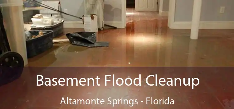 Basement Flood Cleanup Altamonte Springs - Florida