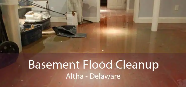 Basement Flood Cleanup Altha - Delaware