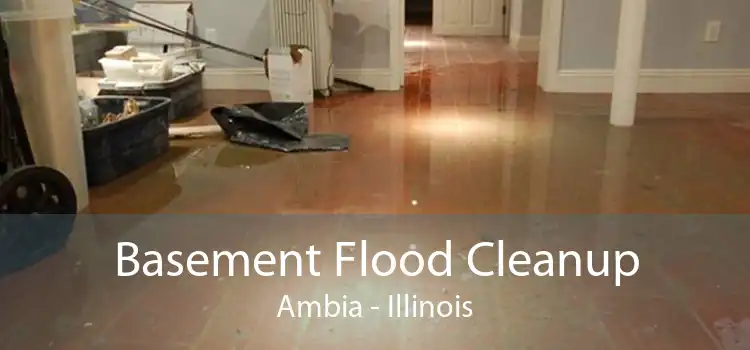 Basement Flood Cleanup Ambia - Illinois