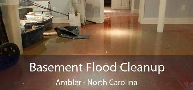 Basement Flood Cleanup Ambler - North Carolina