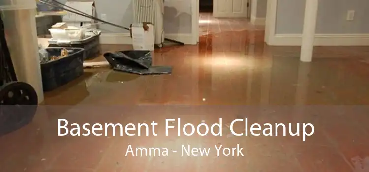 Basement Flood Cleanup Amma - New York