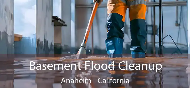 Basement Flood Cleanup Anaheim - California