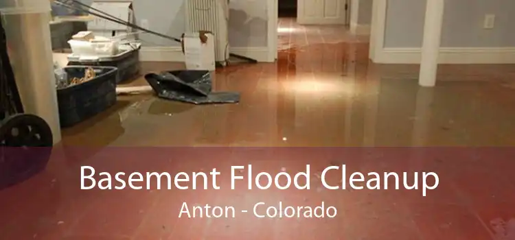 Basement Flood Cleanup Anton - Colorado