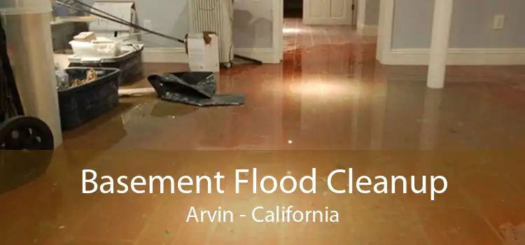 Basement Flood Cleanup Arvin - California