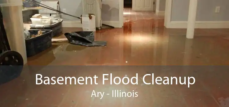 Basement Flood Cleanup Ary - Illinois