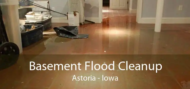 Basement Flood Cleanup Astoria - Iowa