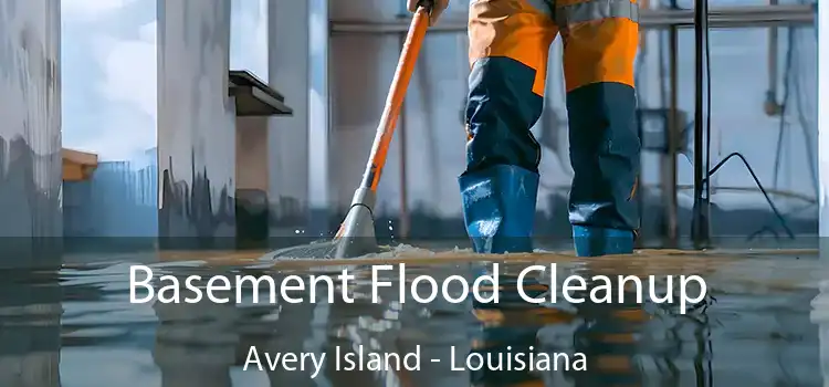 Basement Flood Cleanup Avery Island - Louisiana