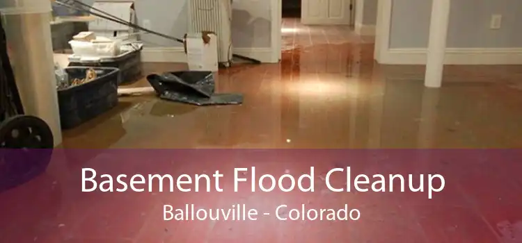 Basement Flood Cleanup Ballouville - Colorado