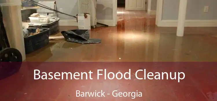 Basement Flood Cleanup Barwick - Georgia