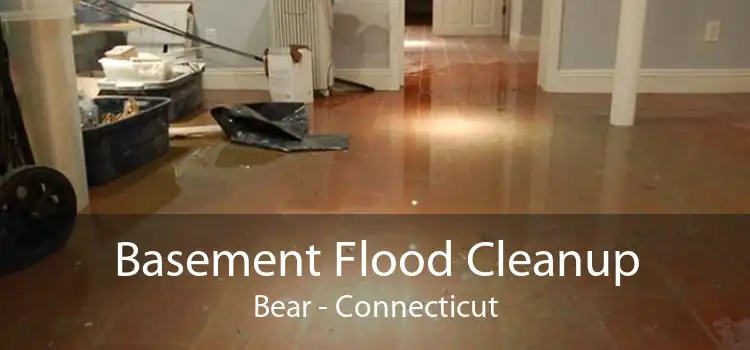 Basement Flood Cleanup Bear - Connecticut