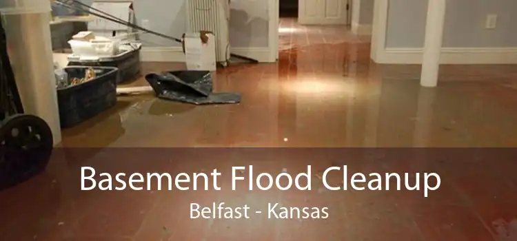 Basement Flood Cleanup Belfast - Kansas