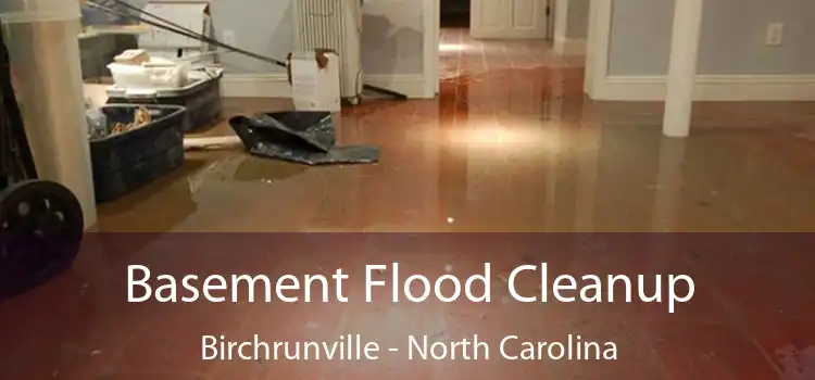 Basement Flood Cleanup Birchrunville - North Carolina