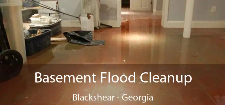 Basement Flood Cleanup Blackshear - Georgia