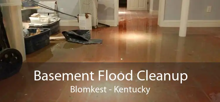 Basement Flood Cleanup Blomkest - Kentucky