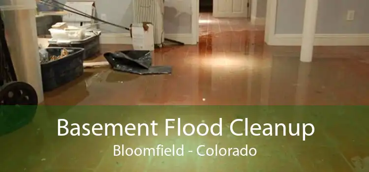 Basement Flood Cleanup Bloomfield - Colorado