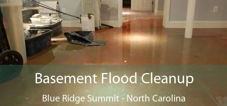 Basement Flood Cleanup Blue Ridge Summit - North Carolina