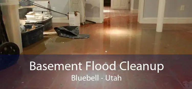 Basement Flood Cleanup Bluebell - Utah