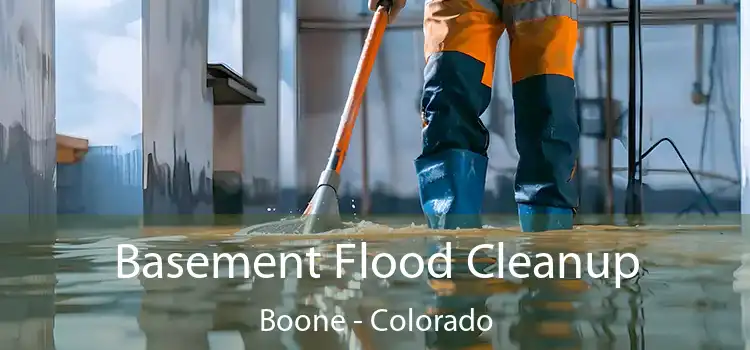 Basement Flood Cleanup Boone - Colorado