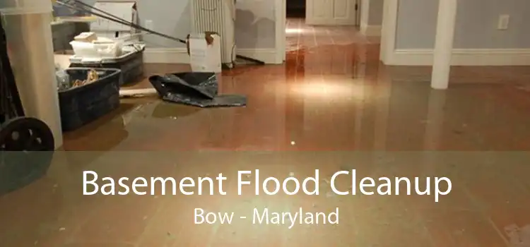 Basement Flood Cleanup Bow - Maryland