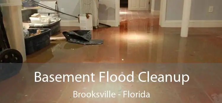 Basement Flood Cleanup Brooksville - Florida