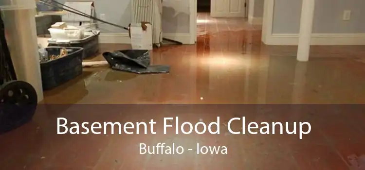 Basement Flood Cleanup Buffalo - Iowa