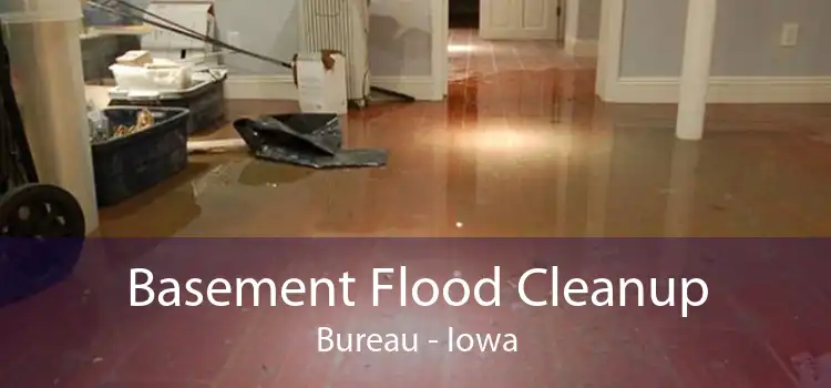 Basement Flood Cleanup Bureau - Iowa
