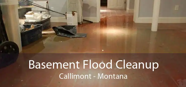 Basement Flood Cleanup Callimont - Montana