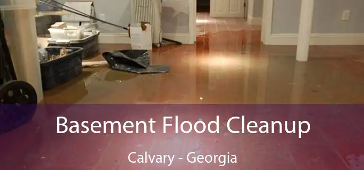 Basement Flood Cleanup Calvary - Georgia