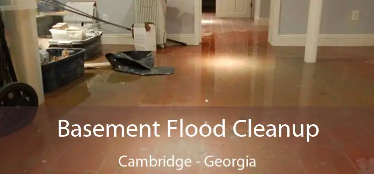 Basement Flood Cleanup Cambridge - Georgia