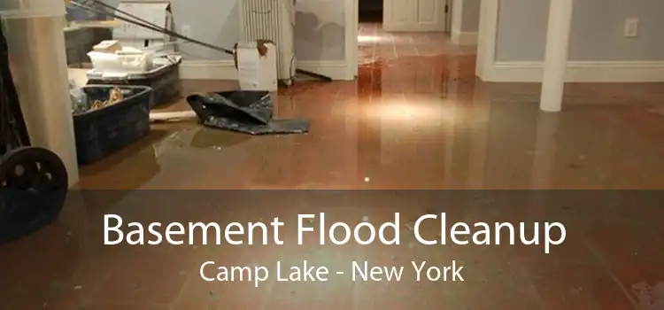 Basement Flood Cleanup Camp Lake - New York