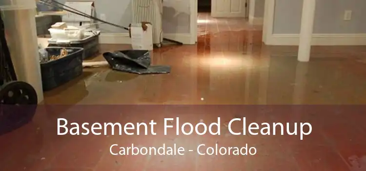 Basement Flood Cleanup Carbondale - Colorado