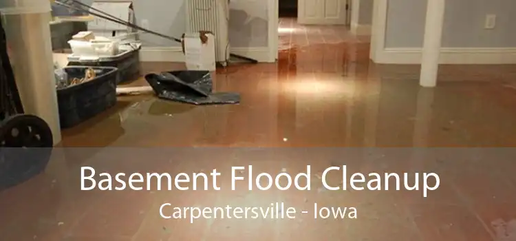 Basement Flood Cleanup Carpentersville - Iowa