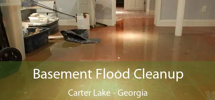 Basement Flood Cleanup Carter Lake - Georgia