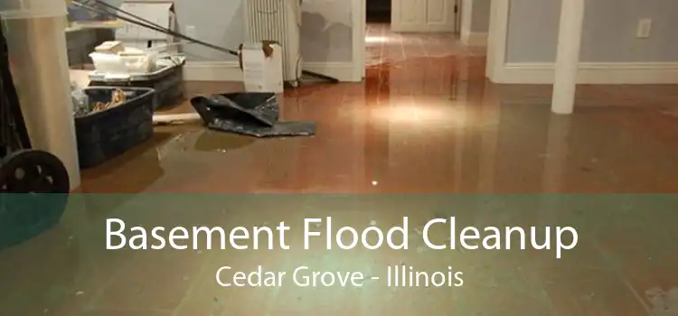 Basement Flood Cleanup Cedar Grove - Illinois